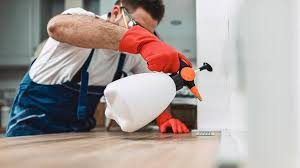 Best Emergency Pest Control  in Sur Hill, GA